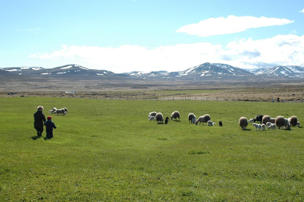 Ytra Lón Farm Lodge Þórshöfn Exterior foto